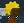 Avatar for Nouch